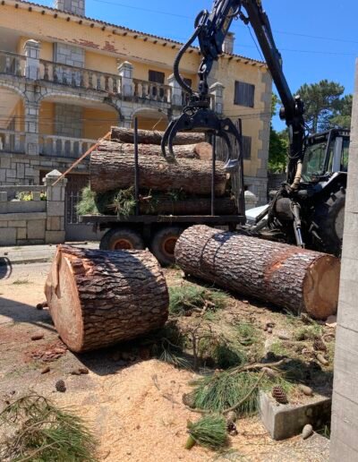 Arboricultores con una amplia trayectoria