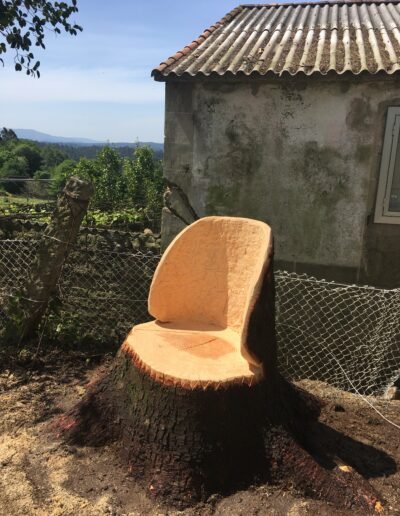 Arboricultura en CUNTIS